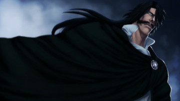 Картинка аниме bleach gotei 13