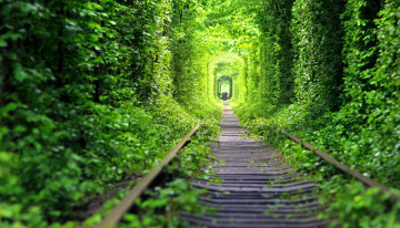 Картинка разное транспортные+средства+и+магистрали зелень шпалы железная дорога рельсы лес