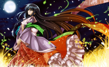 Картинка аниме touhou взгляд фон девушка