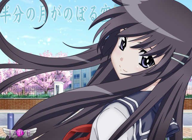 Обои картинки фото аниме, hanbun no tsuki ga noboru sora, девушка, фон, взгляд