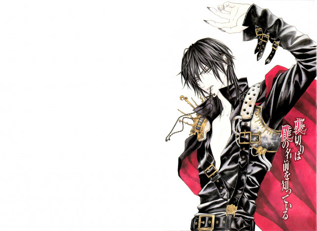 Обои картинки фото аниме, uragiri wa boku no namae wo shitteiru, luka, crosszeria