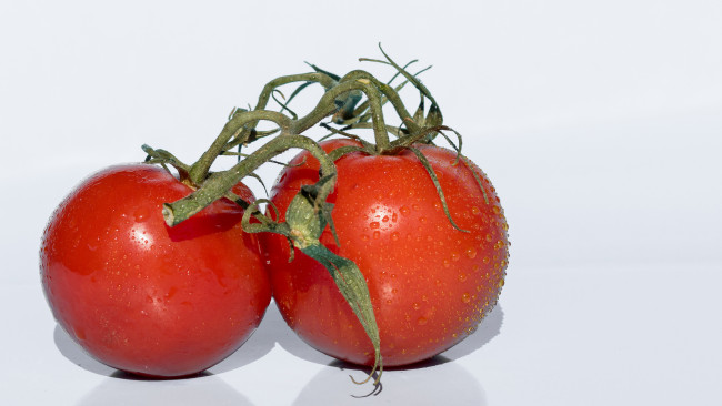 Обои картинки фото еда, помидоры, томаты