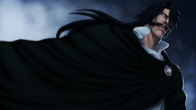 Обои картинки фото аниме, bleach, gotei, 13