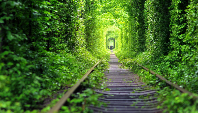 Обои картинки фото разное, транспортные средства и магистрали, зелень, шпалы, железная, дорога, рельсы, лес