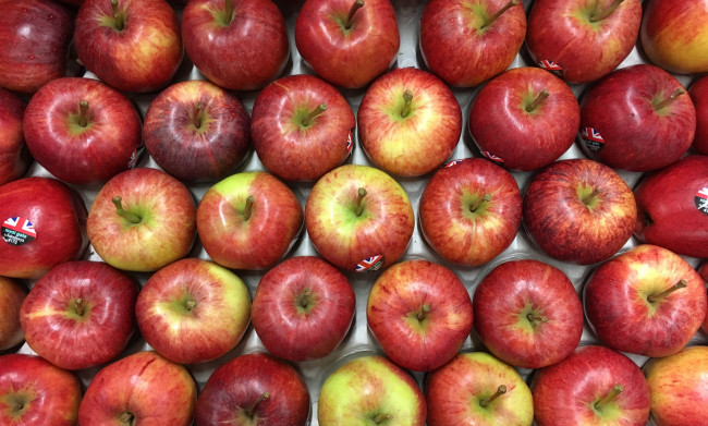 Обои картинки фото еда, Яблоки, яблочки