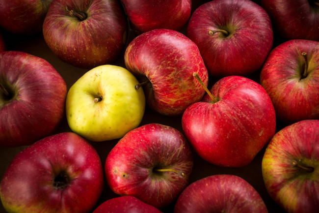 Обои картинки фото еда, Яблоки, яблочки