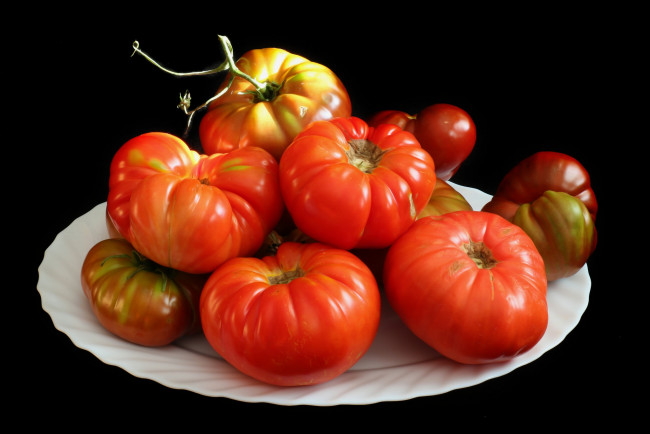 Обои картинки фото еда, помидоры, томаты