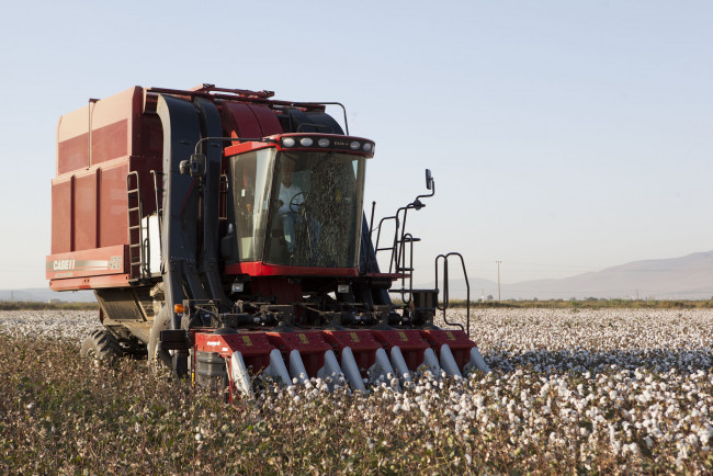 Обои картинки фото техника, комбайны, case