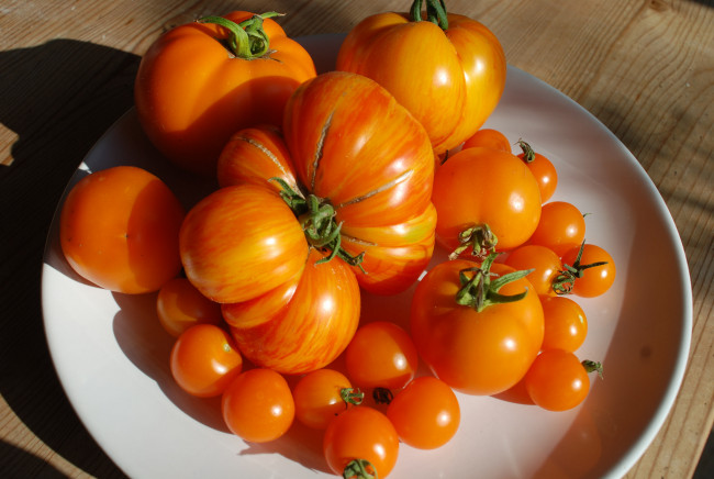 Обои картинки фото еда, помидоры, томаты