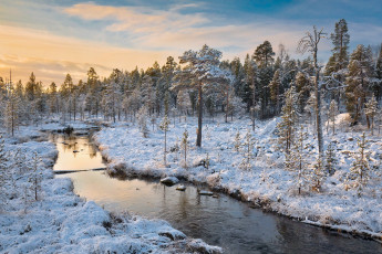 Картинка природа реки озера река лес