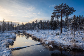 Картинка природа реки озера река лес