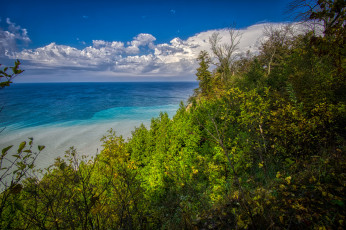 Картинка природа побережье простор