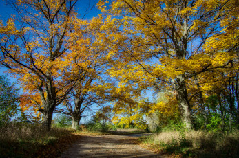 Картинка природа дороги простор