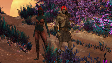 Картинка 3д+графика эльфы+ elves фон взгляд девушки