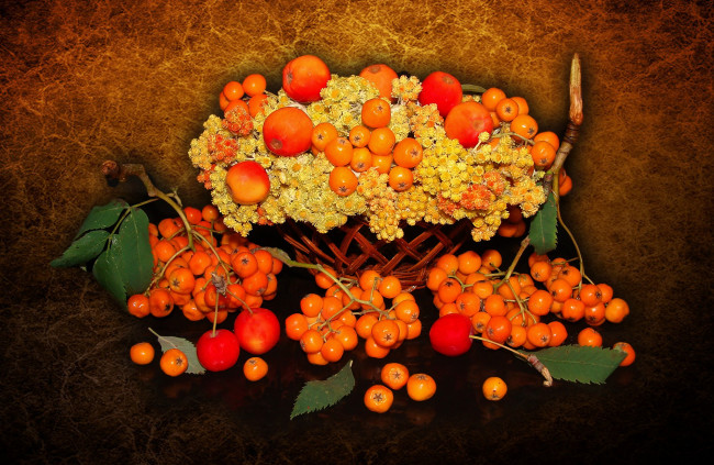 Обои картинки фото еда, рябина, яблоки-китайка, авторское, фото, елена, аникина, bride, delicate, wedding, elegantly, nice, bouquet, cool, beautiful, beauty, harmony, полевые, цветы, сухоцвет, красивые, корзинка