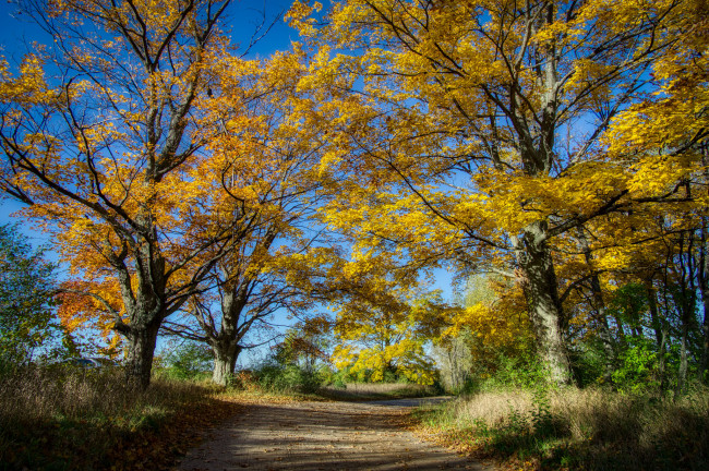 Обои картинки фото природа, дороги, простор