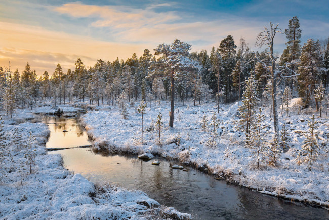 Обои картинки фото природа, реки, озера, река, лес