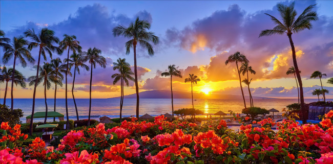 Обои картинки фото kaanapali nights, maui, hawaii, природа, тропики, kaanapali, nights