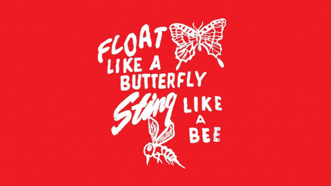 Обои картинки фото бренды, adidas, надпись, пчела, бабочка