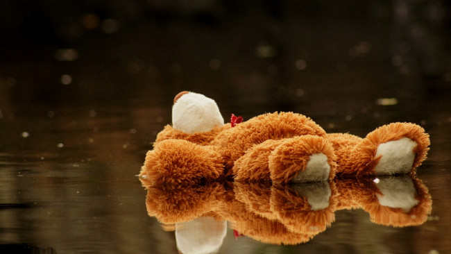 Обои картинки фото разное, игрушки, мишка, лужа