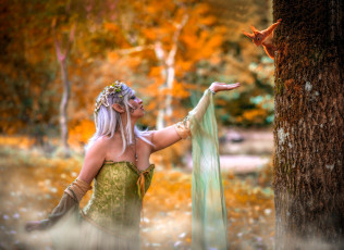 Картинка девушки -+креатив +косплей образ косплей наряд костюм эльфийка дерево белка осень лес листья