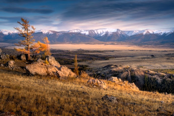 обоя природа, горы, долина, дерево, камни, алтай