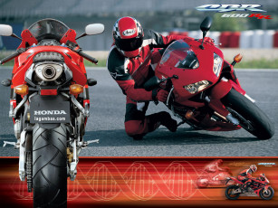 Картинка мотоциклы honda