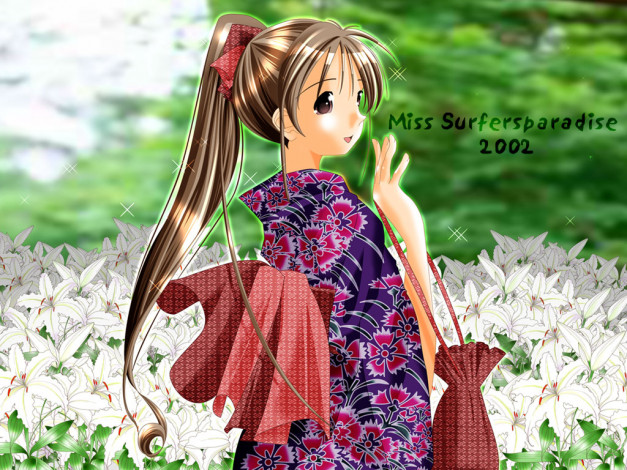 Обои картинки фото аниме, miss, surfersparadise