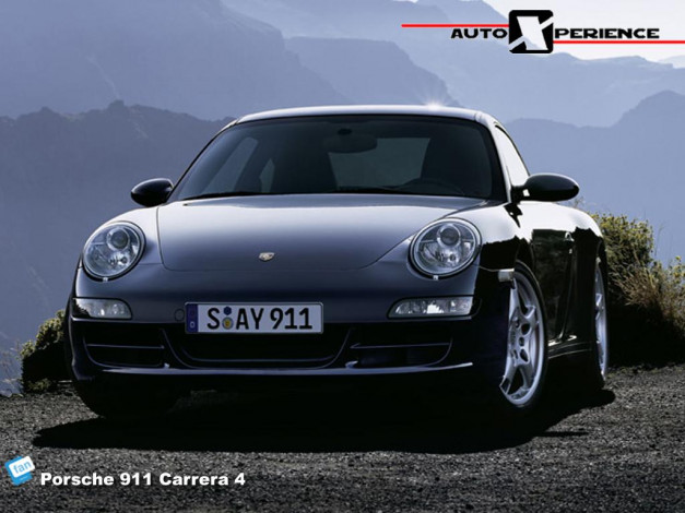 Обои картинки фото porsche911carrera, автомобили, porsche