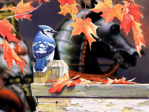 Картинка животные сойки