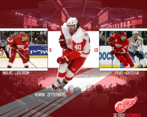 Картинка zetenberg 40 спорт nhl