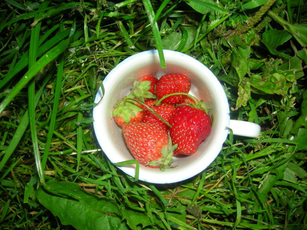 Обои картинки фото еда, клубника, земляника