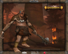 Картинка drakensang the dark eye видео игры