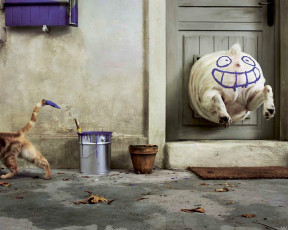 Картинка юмор приколы