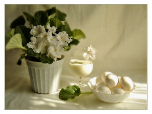 Картинка анна немирович пока цветут фиалки еда натюрморт