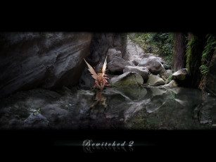 Картинка фэнтези феи