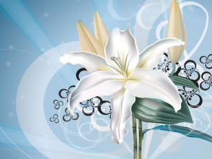 Картинка рисованные цветы