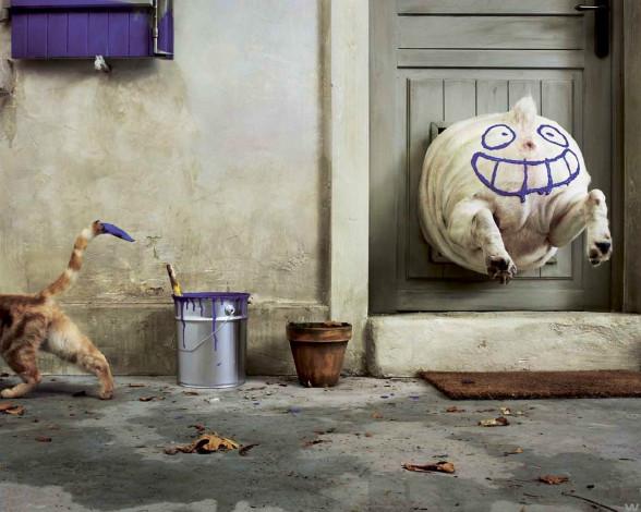 Обои картинки фото юмор, приколы