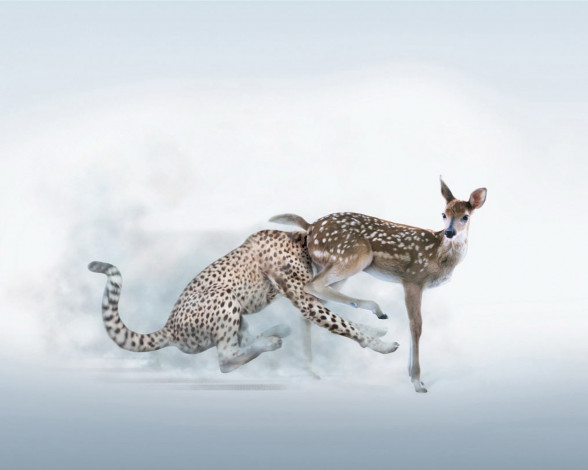 Обои картинки фото юмор, приколы