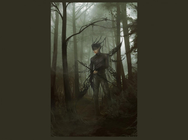 Обои картинки фото фэнтези, эльфы