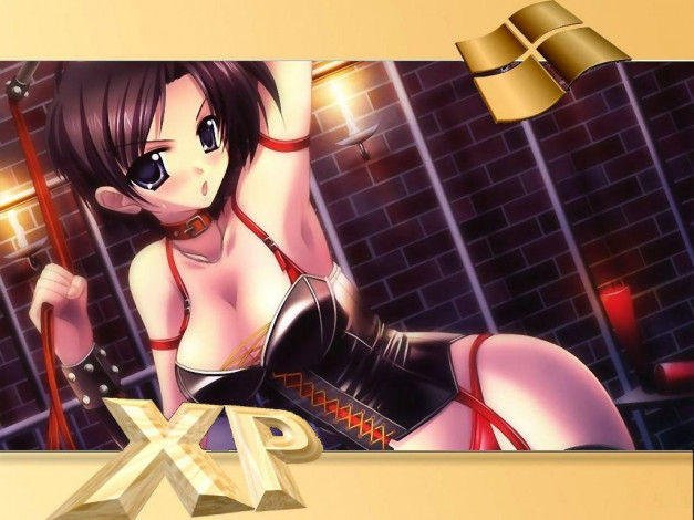 Обои картинки фото компьютеры, windows, xp