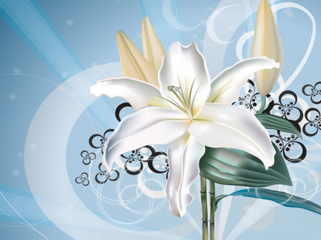 Обои картинки фото рисованные, цветы