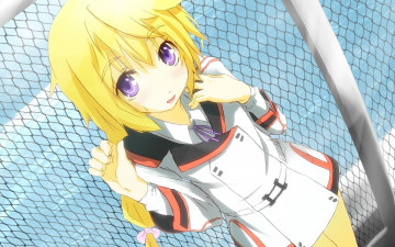 Картинка аниме infinite stratos девушка студентка взгляд улыбка забор