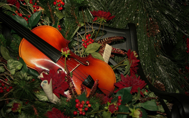 Обои картинки фото музыка, музыкальные, инструменты, скрипка, ноты, рябина