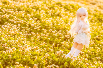 Картинка разное игрушки кукла