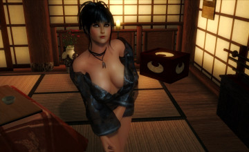 Картинка 3д+графика elves+ эльфы эльфийка комната