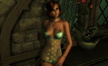 Картинка 3д+графика elves+ эльфы взгляд эльфийка