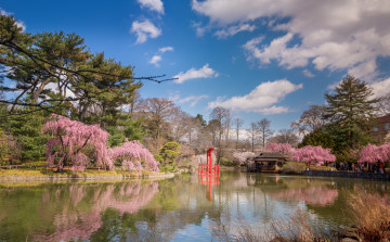 Картинка природа парк беседка пруд деревья