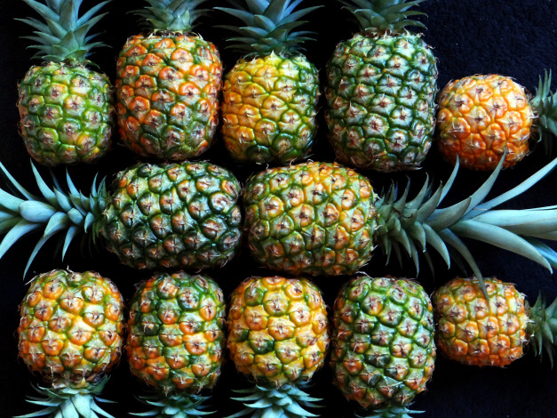 Обои картинки фото еда, ананас, ананасы