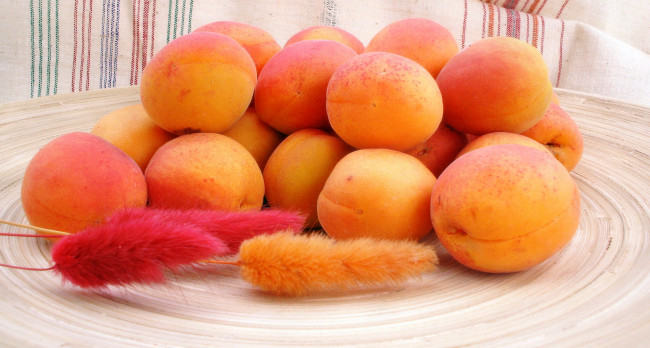 Обои картинки фото еда, персики,  сливы,  абрикосы, абрикосы